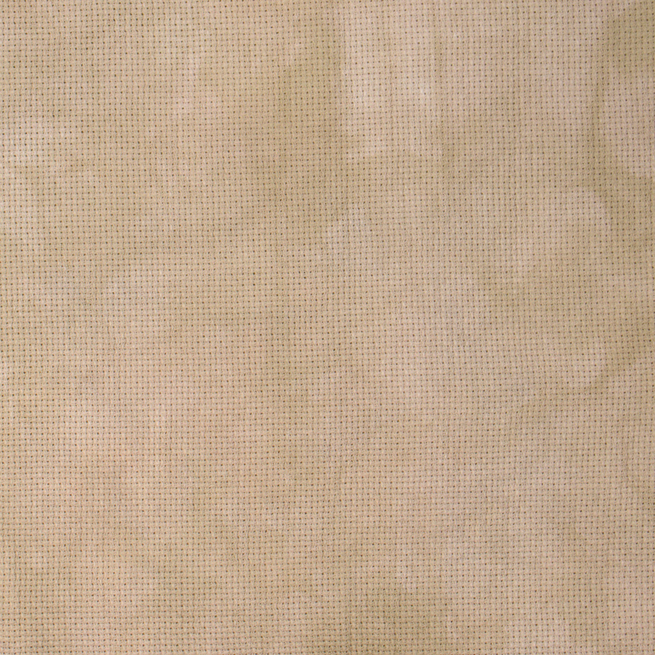 20 Count Latte Aida 18x20