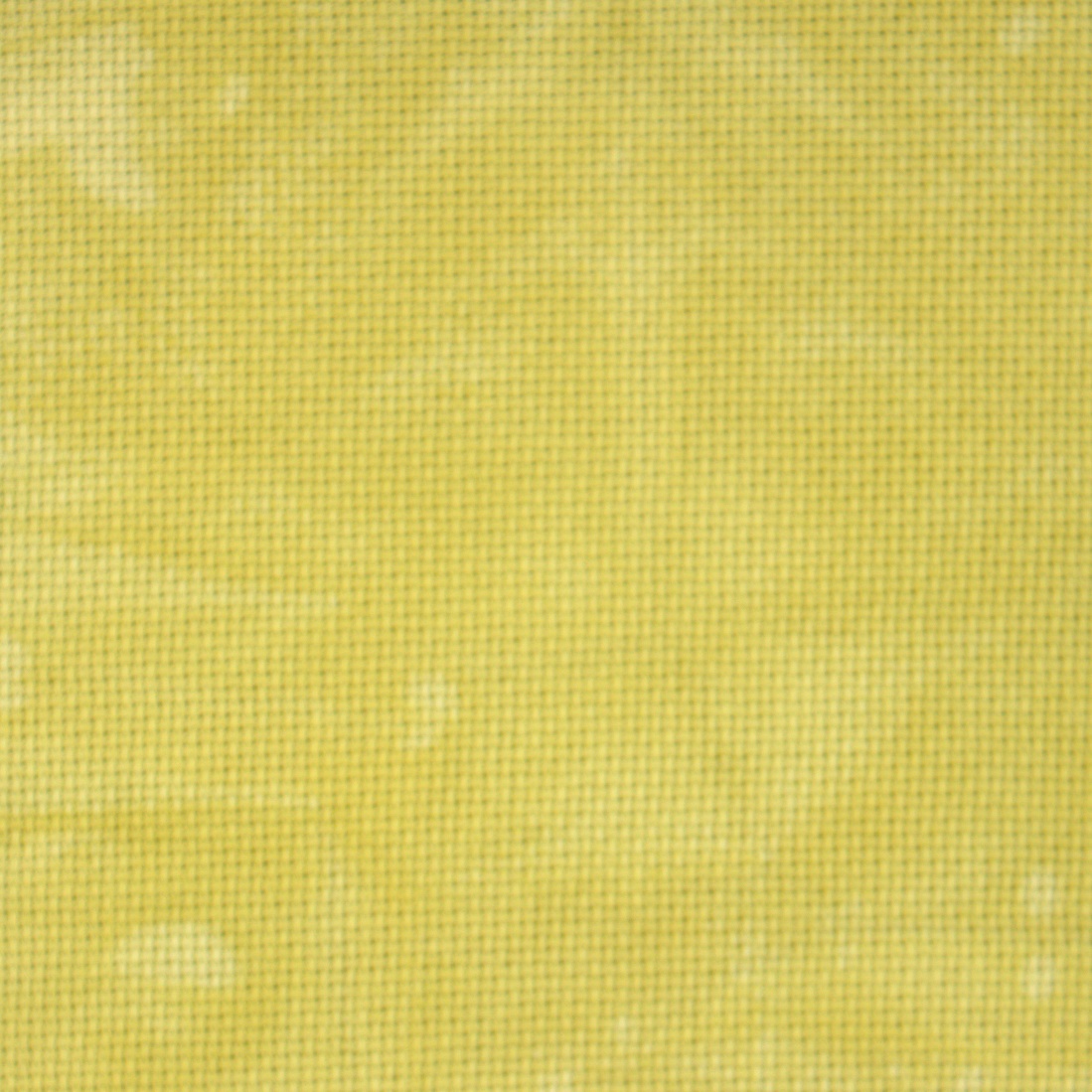 20 Count Jalapeno Aida 18x20