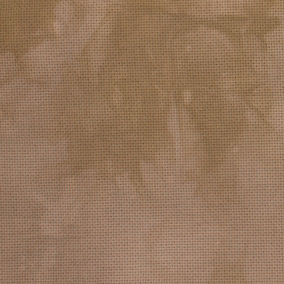 20 Count Dulce de Leche Aida 18x20