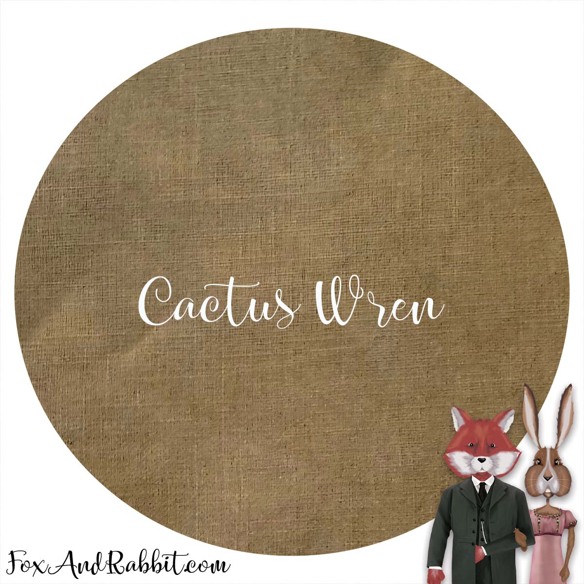 14 Ct. Cactus Wren Aida 12x17