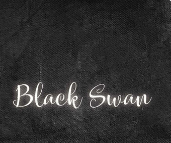 46 Ct. Black Swan Linen 8x12