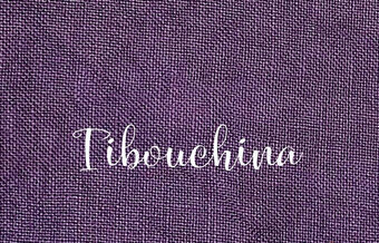 46 Ct. Tibouchina Linen 12x17