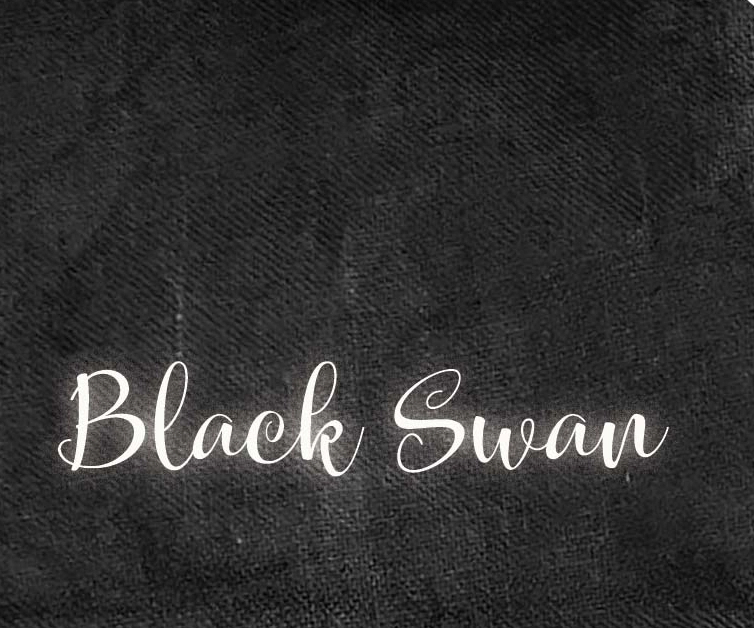 36 Ct. Black Swan Linen 26x35