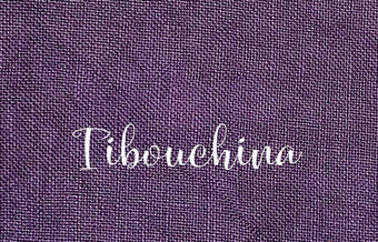 32 Ct. Tibouchina Linen 12x17