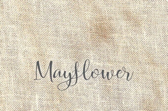 40 Ct. Mayflower Stained Linen 17x25