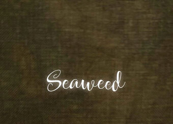 40 Ct. Seaweed Linen 8x12
