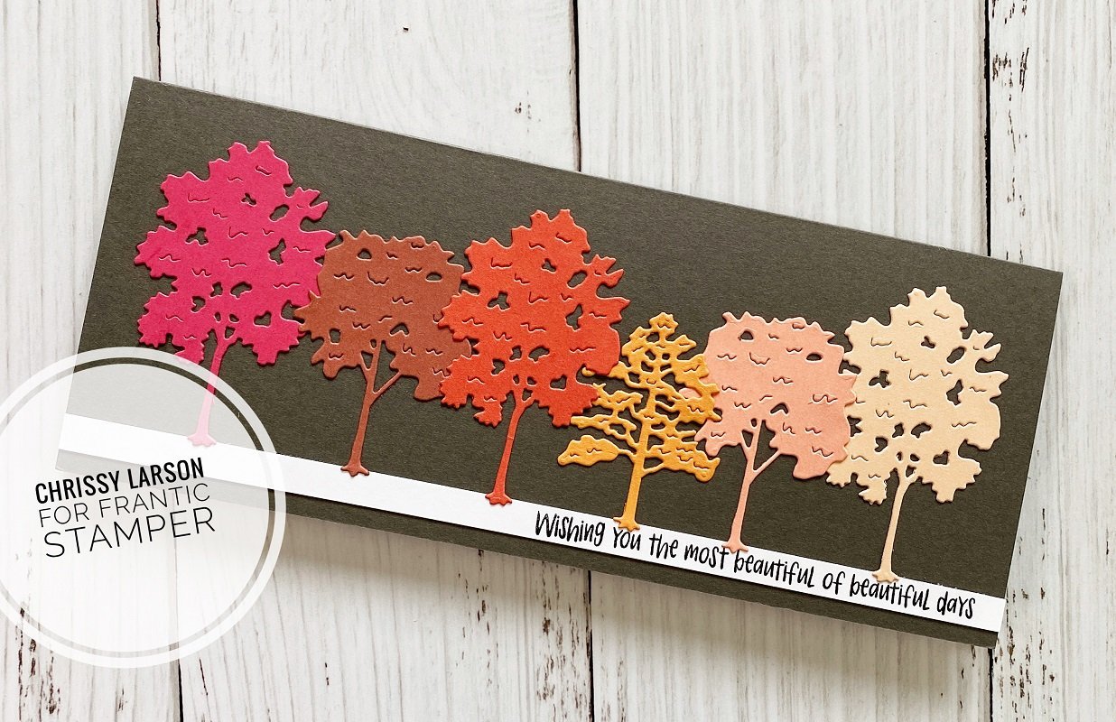 Florals And Greetings - Clear Stamp Set