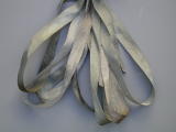 Gloriana 4mm Silk Ribbon #051 Slate Green, zoomed in. Select this picture to zoom back out.