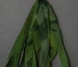 Gloriana 4mm Silk Ribbon #161 - Avonlea Green, zoomed in. Select this picture to zoom back out.