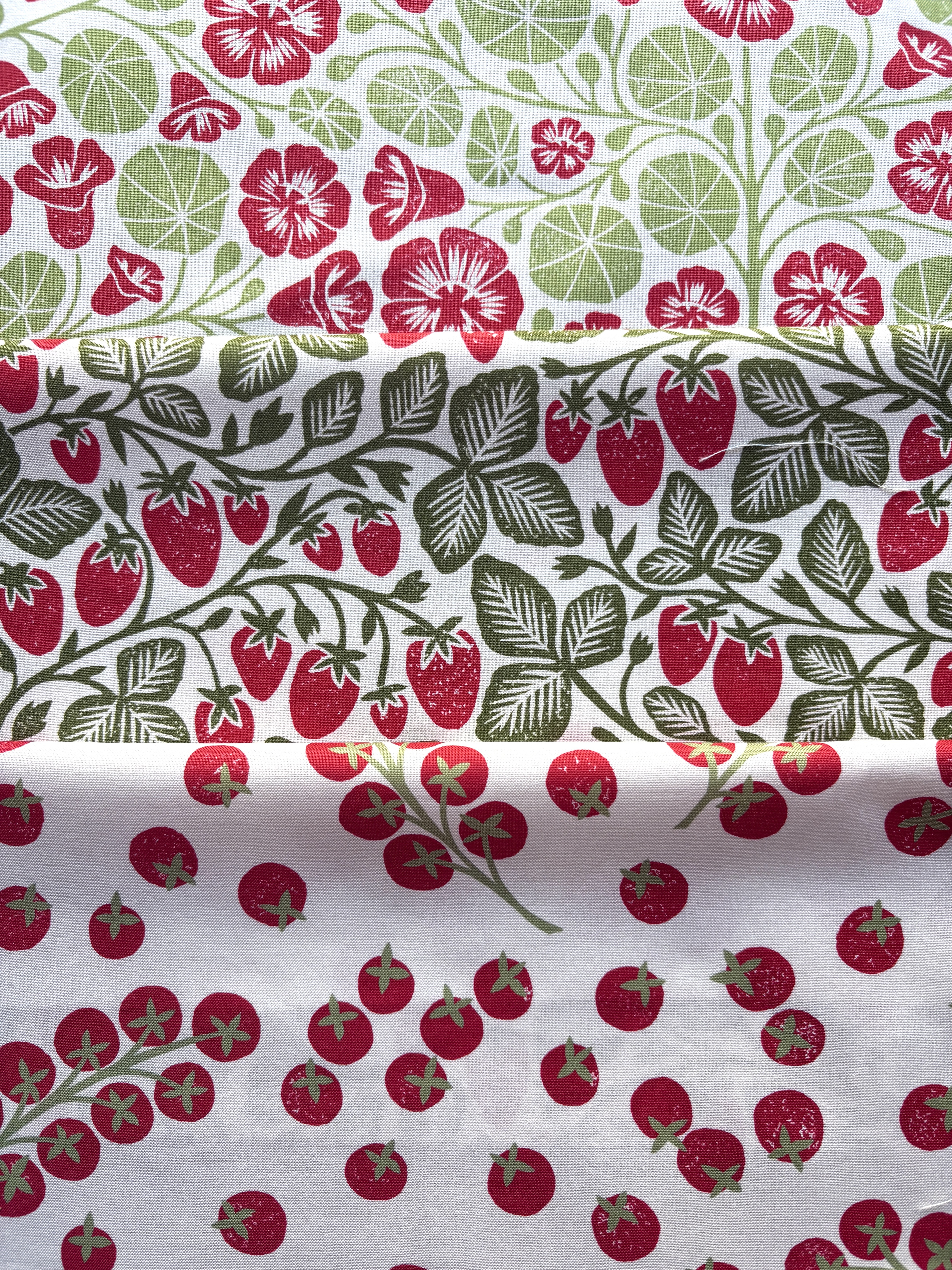 Garden Series Echinacea Cream Sky - Quilt Fabric