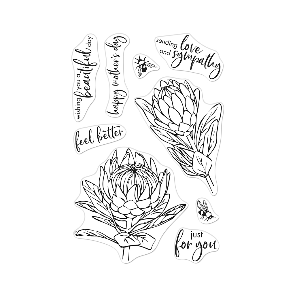 Protea Flowers - Clear Stamp