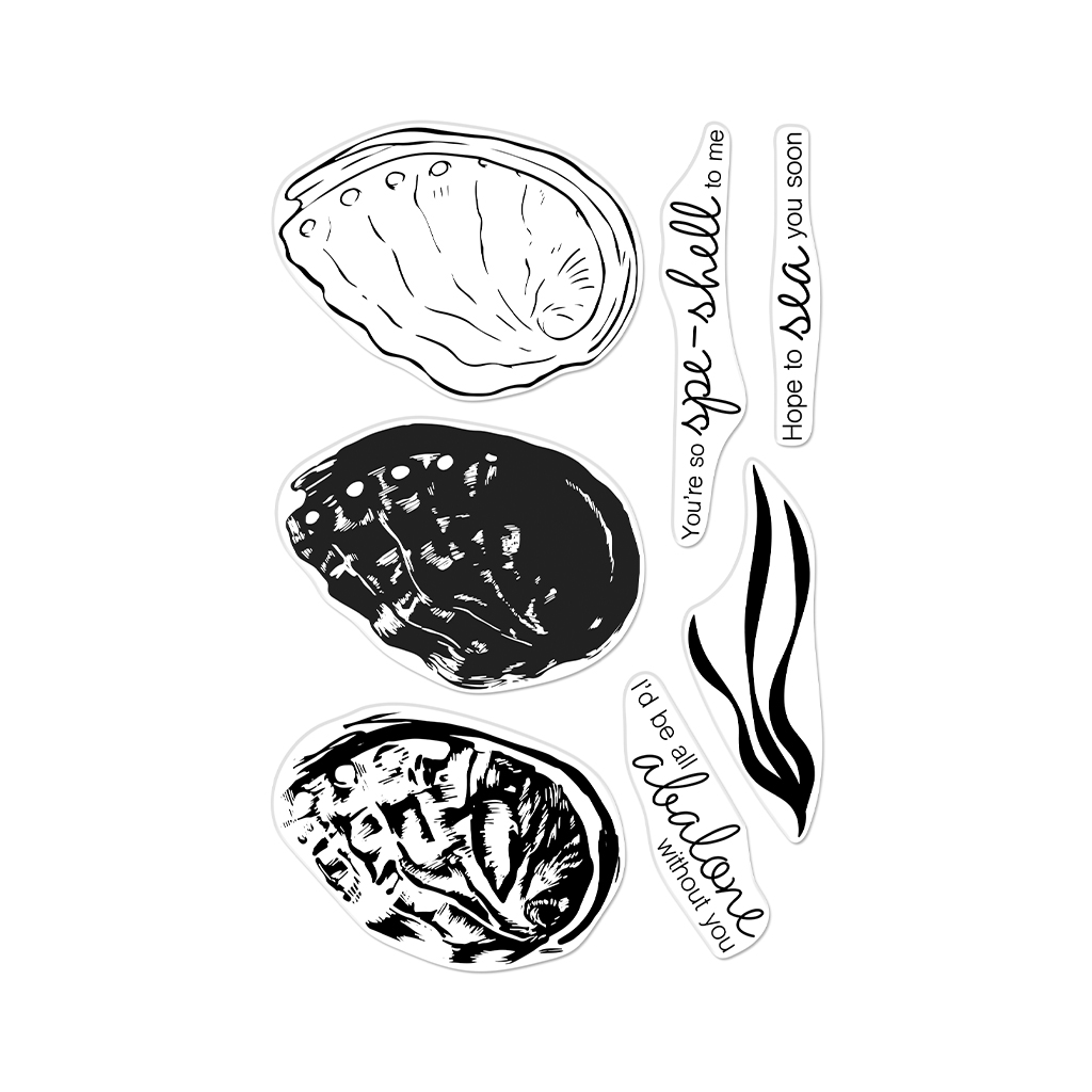 Color Layering Abalone - Stamp Set