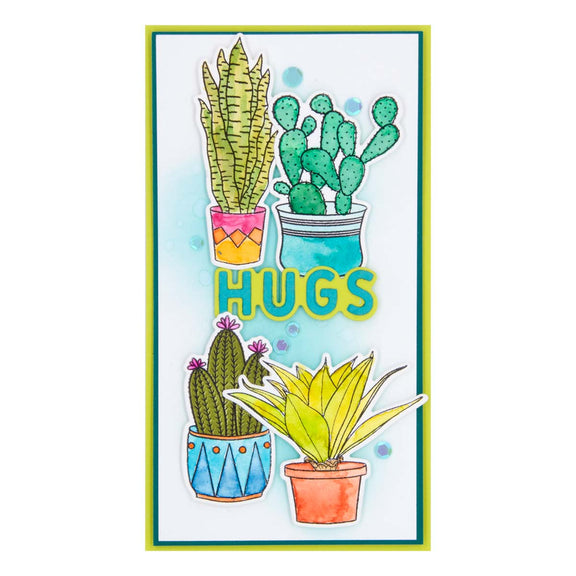 Ranger Succulents - Clear Stamp 
