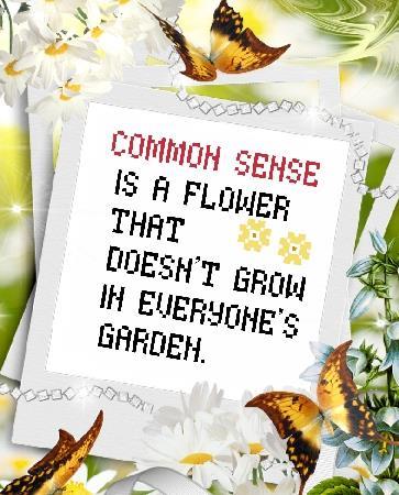 Common Sense - Cross Stitch Pattern