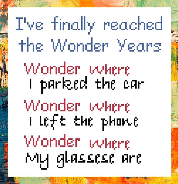 Wonder Years - Cross Stitch Pattern