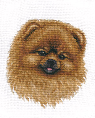 Spitz - Cross Stitch Kit