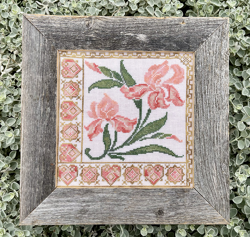 Florigraphica 2 - Iris - Cross Stitch Pattern