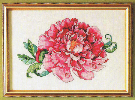 Luscious Tree Peony - Cross Stitch Pattern