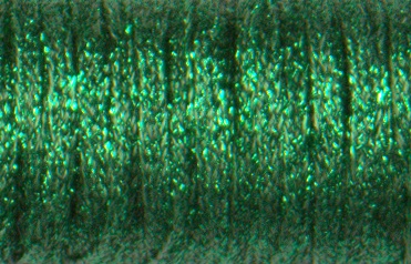 1/8" Ribbon #008 - Green