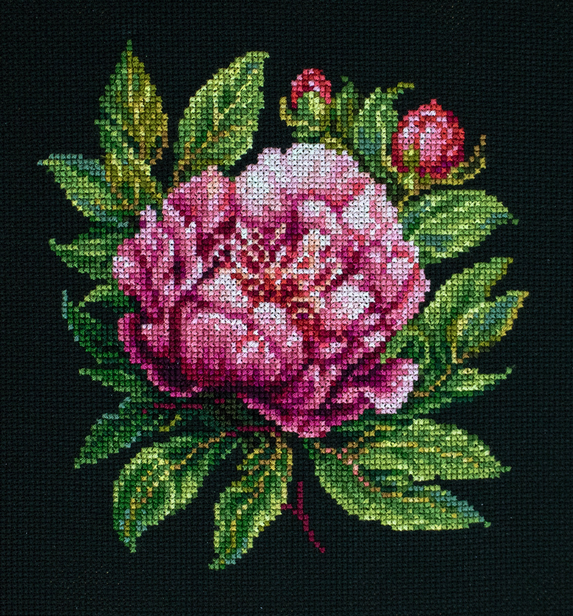 Peter Brand - Cross Stitch Kit with Hoop Included