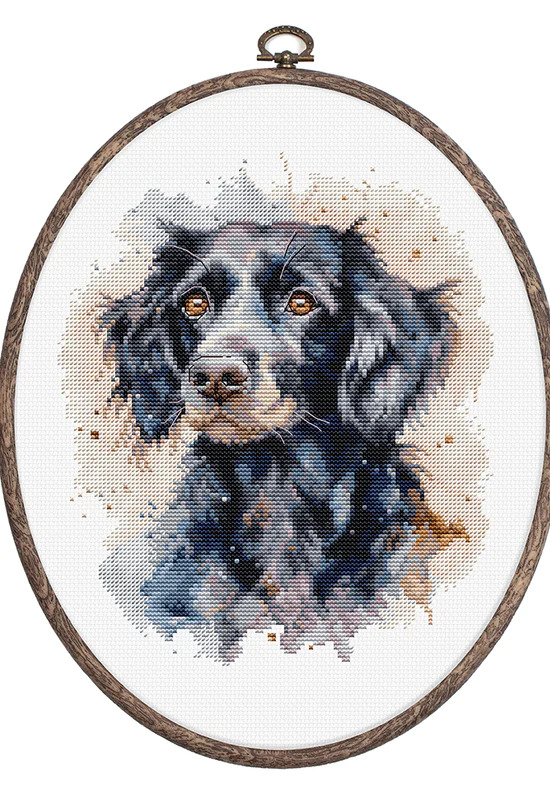 The Border Collie - Cross Stitch Kit