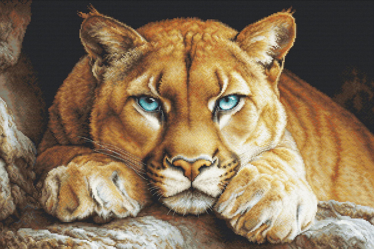 The Wild Spirit - Cross Stitch Kit