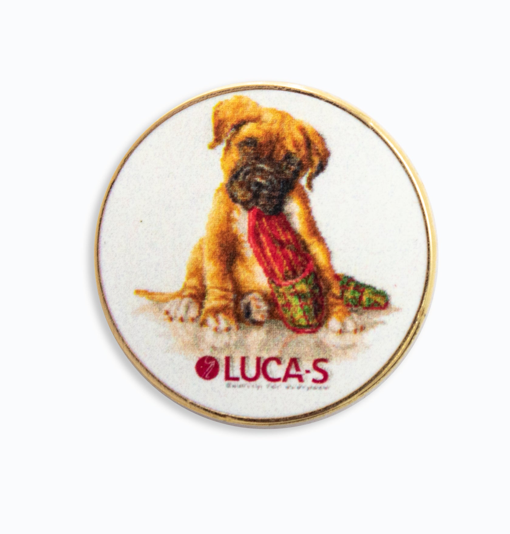 The Boxer - Needle Minder 