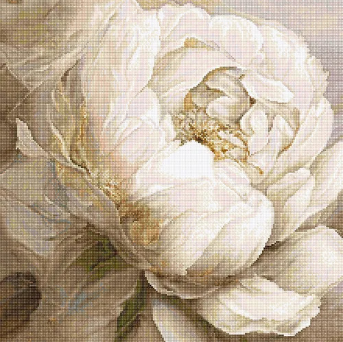 Peony Poses - Cross Stitch Kit