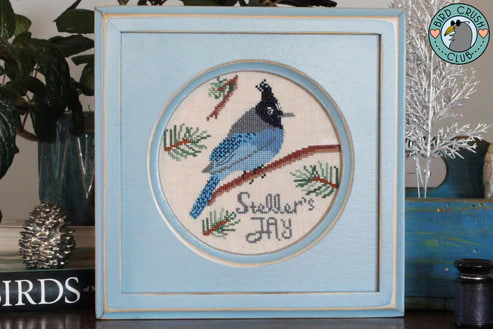 Steller's Jay - Cross Stitch Pattern