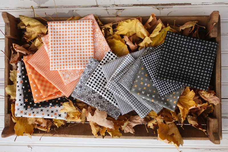 Late October Vanilla Black - Maze - Quilt Fabric