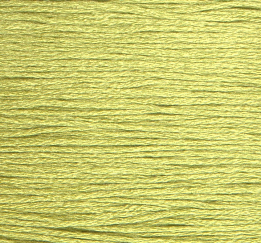 Rainbow Gallery Mandarin Floss #M839 - Lite Cedar #2