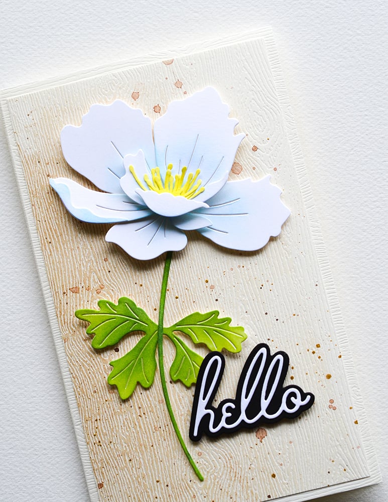 Graceful Anemone - Craft Die
