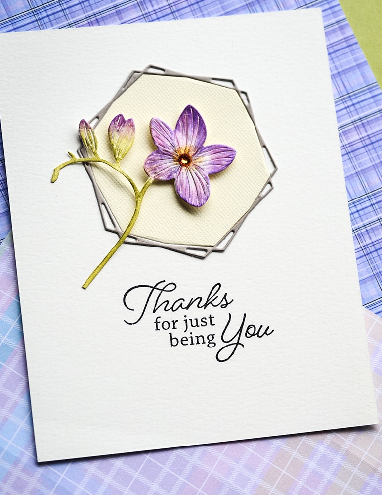 Joyful Moments - Clear Stamp