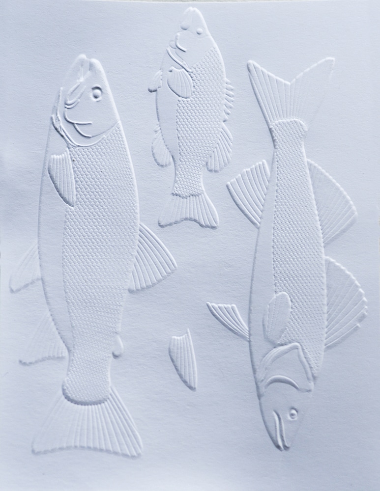 Freshwater Fish - Embossing Folder and Craft Die