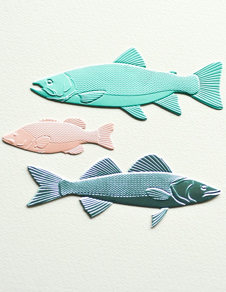 Freshwater Fish - Embossing Folder and Craft Die