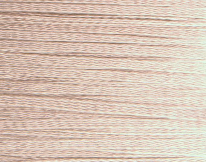 Rainbow Gallery Neon Rays N41 Champagne