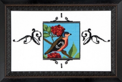 Chaffinch  - Audubon Street - Cross Stitch Pattern