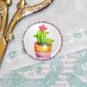 Cactus Needle Minder