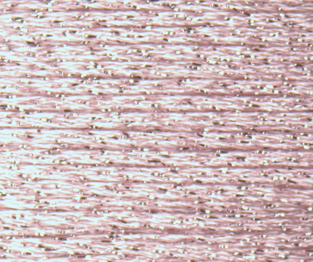 Rainbow Gallery Neon Rays Plus NP011 PALE PINK
