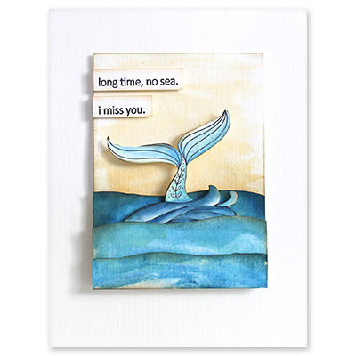 Swimming By - Clear Stamp Set