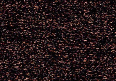 Rainbow Gallery Petite Treasure Braid - PB51 Dark Chocolate