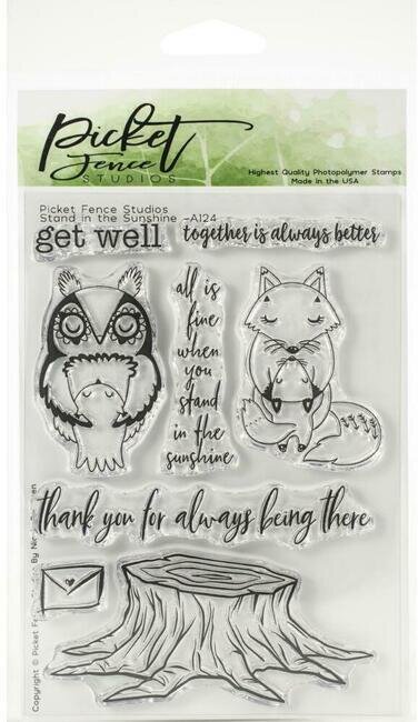 Stand In The Sunshine - Picket Fence Studios Clear Stamp