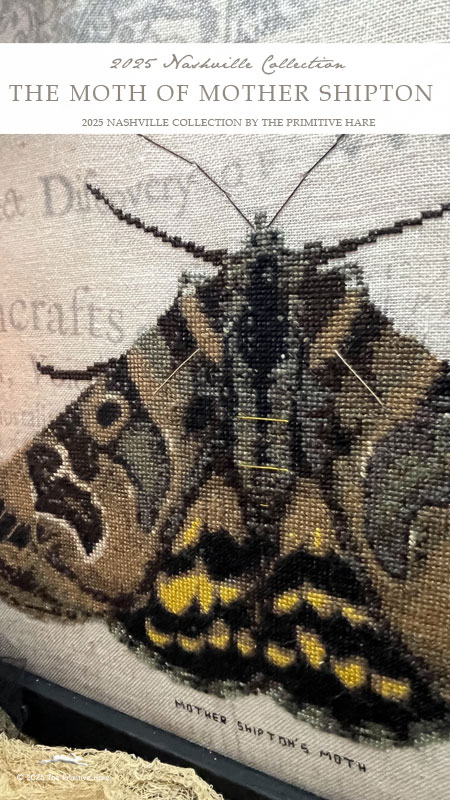 Moth of Mother Shipton - Cross Stitch Pattern