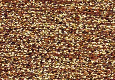 Petite Treasure Braid High Gloss - PH01 Gold