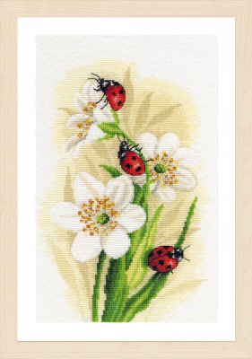 Ladybug Parade (Evenweave) - Cross Stitch Kit