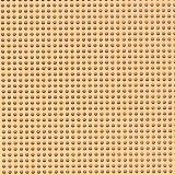 Perforated Paper - Cantaloupe