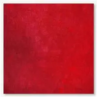 16 Count Phoenix Aida Fabric 13x17