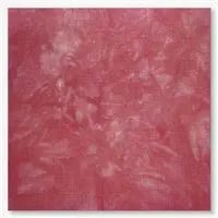 16 Count Tango Aida Fabric 13x17