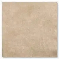 18 Count Legacy Aida Fabric 13x17