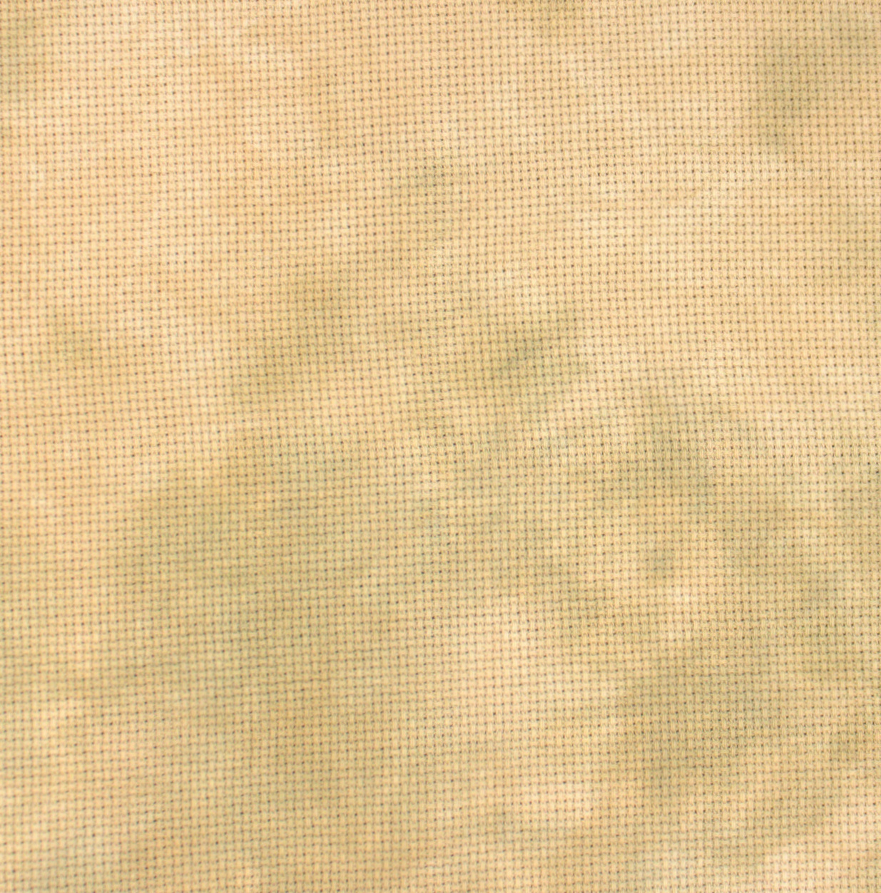 20 Count Veldt Aida Fabric 17x25